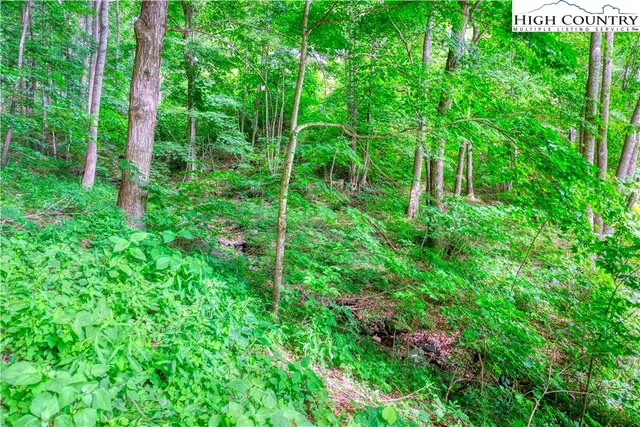 $34,000 | Lot 33 Quail Ridge Drive, Fleetwood, NC 28626
