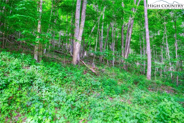 $34,000 | Lot 33 Quail Ridge Drive, Fleetwood, NC 28626