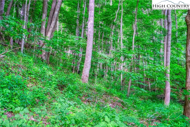 $34,000 | Lot 33 Quail Ridge Drive, Fleetwood, NC 28626