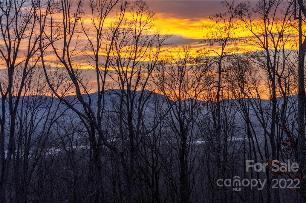 421 Reservoir Road, Unit 60 Asheville, NC 28805 - Photo 1 of 5 a view of trees in a backyard