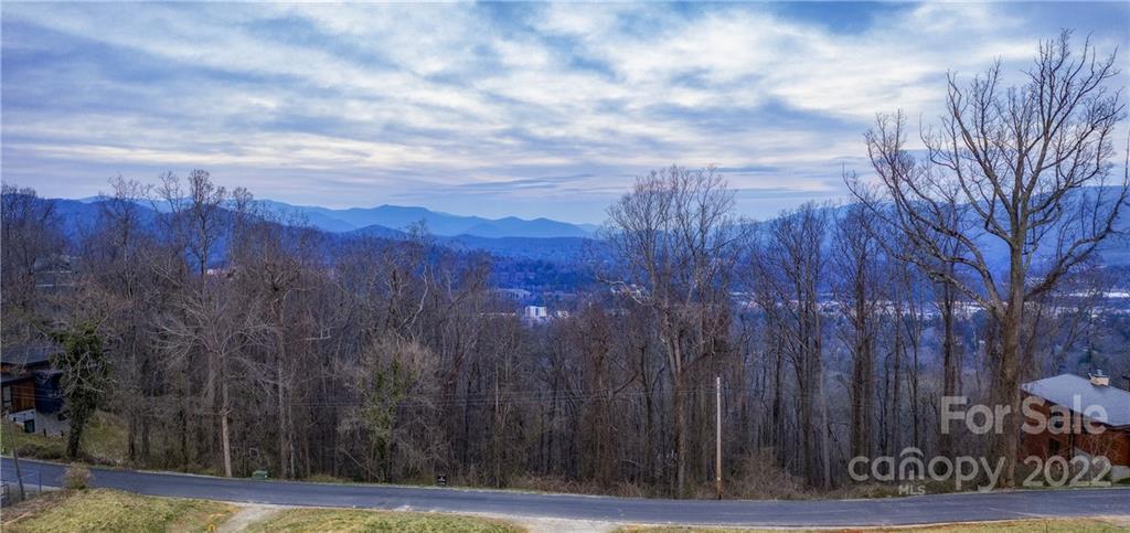 421 Reservoir Road, Unit 60 Asheville, NC 28805 - Photo 2 of 5 a view of a yard with wooden fence