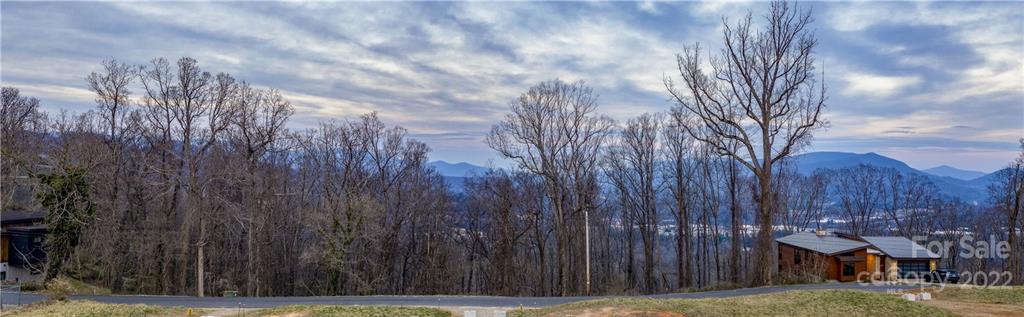 421 Reservoir Road, Unit 60 Asheville, NC 28805 - Photo 5 of 5 a view of backyard with a tree