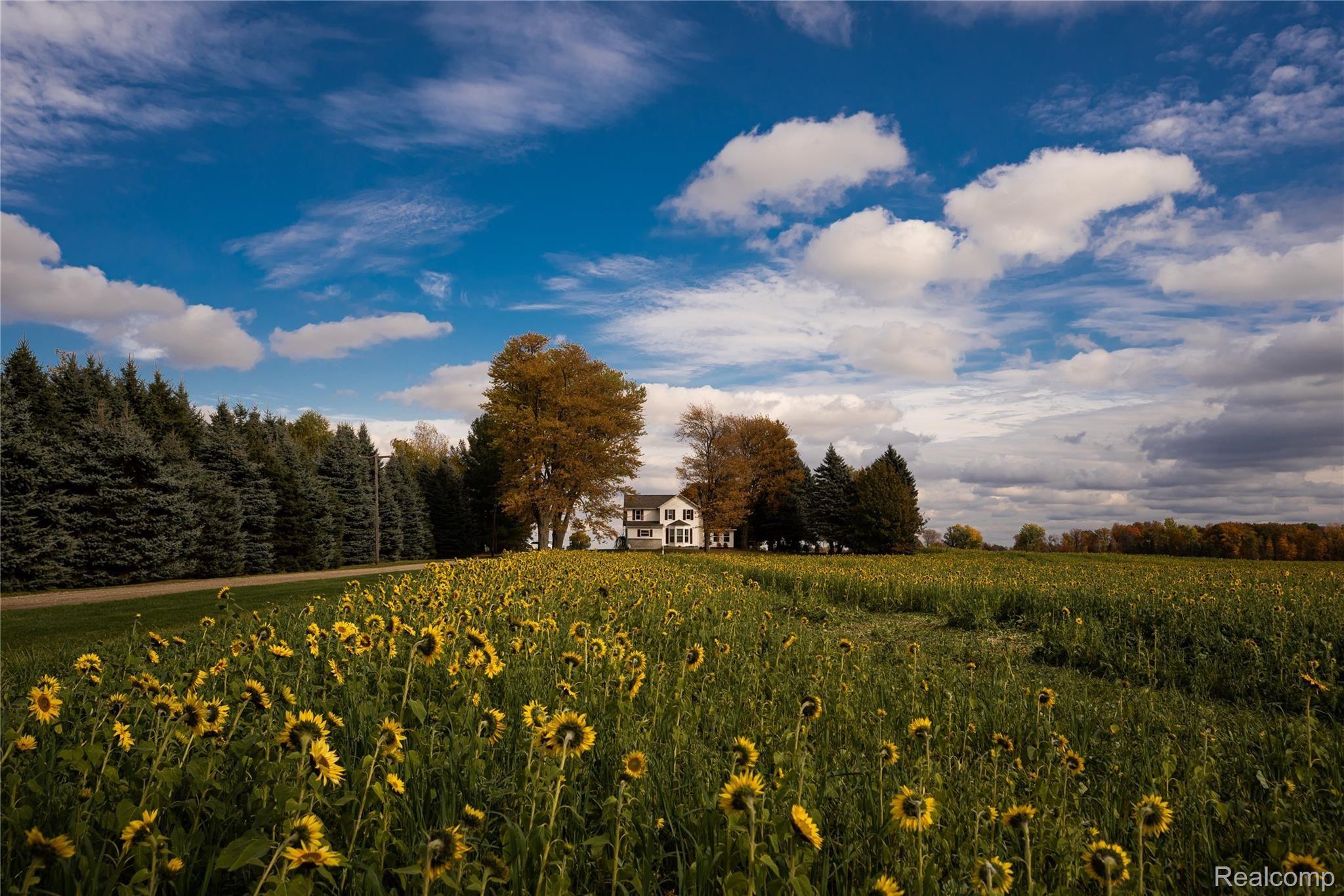2801 Boyne Road Marlette, MI 48453 - Photo 23 of 25 DSC00452.jpg