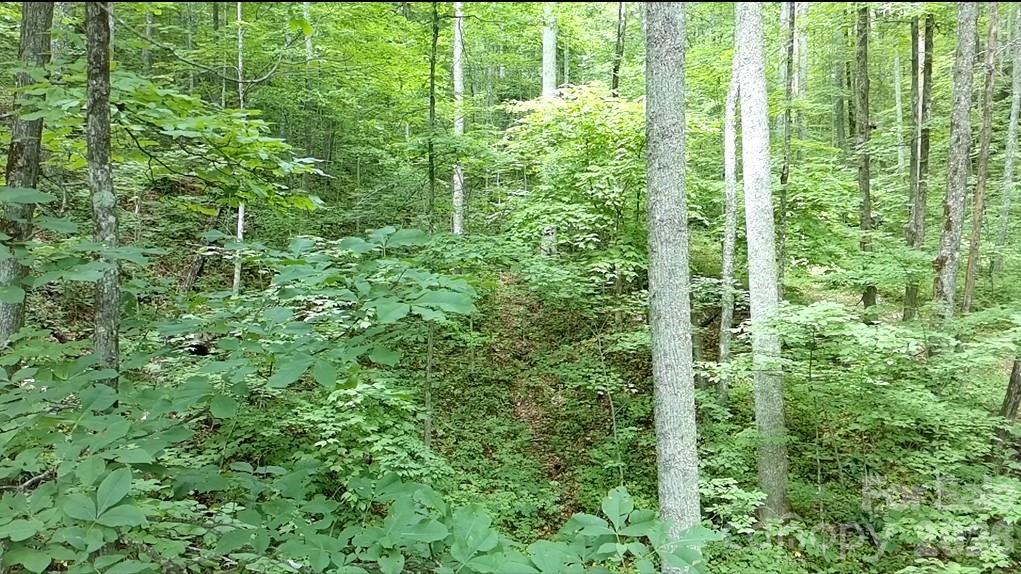 1873 Unahala Creek Road Bryson City, NC 28713 - Photo 7 of 11