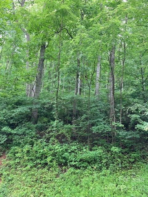 0 Rising Sun Road, Unit 88 Mars Hill, NC 28754 - Photo 1 of 6 Gallery Image 1