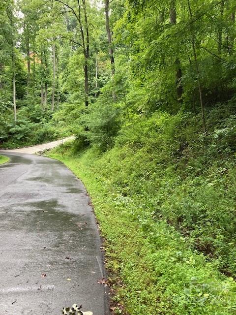 0 Rising Sun Road, Unit 88 Mars Hill, NC 28754 - Photo 3 of 6 Gallery Image 3