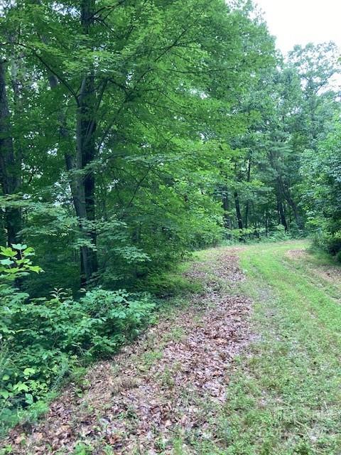 0 Rising Sun Road, Unit 88 Mars Hill, NC 28754 - Photo 5 of 6 Gallery Image 5