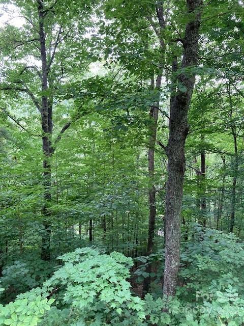 0 Rising Sun Road, Unit 88 Mars Hill, NC 28754 - Photo 6 of 6 Gallery Image 6