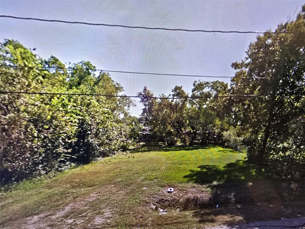 0 Mt Pleasant Street Houston, TX 77021 - Photo 4 of 5 a view of a yard with plants and large trees