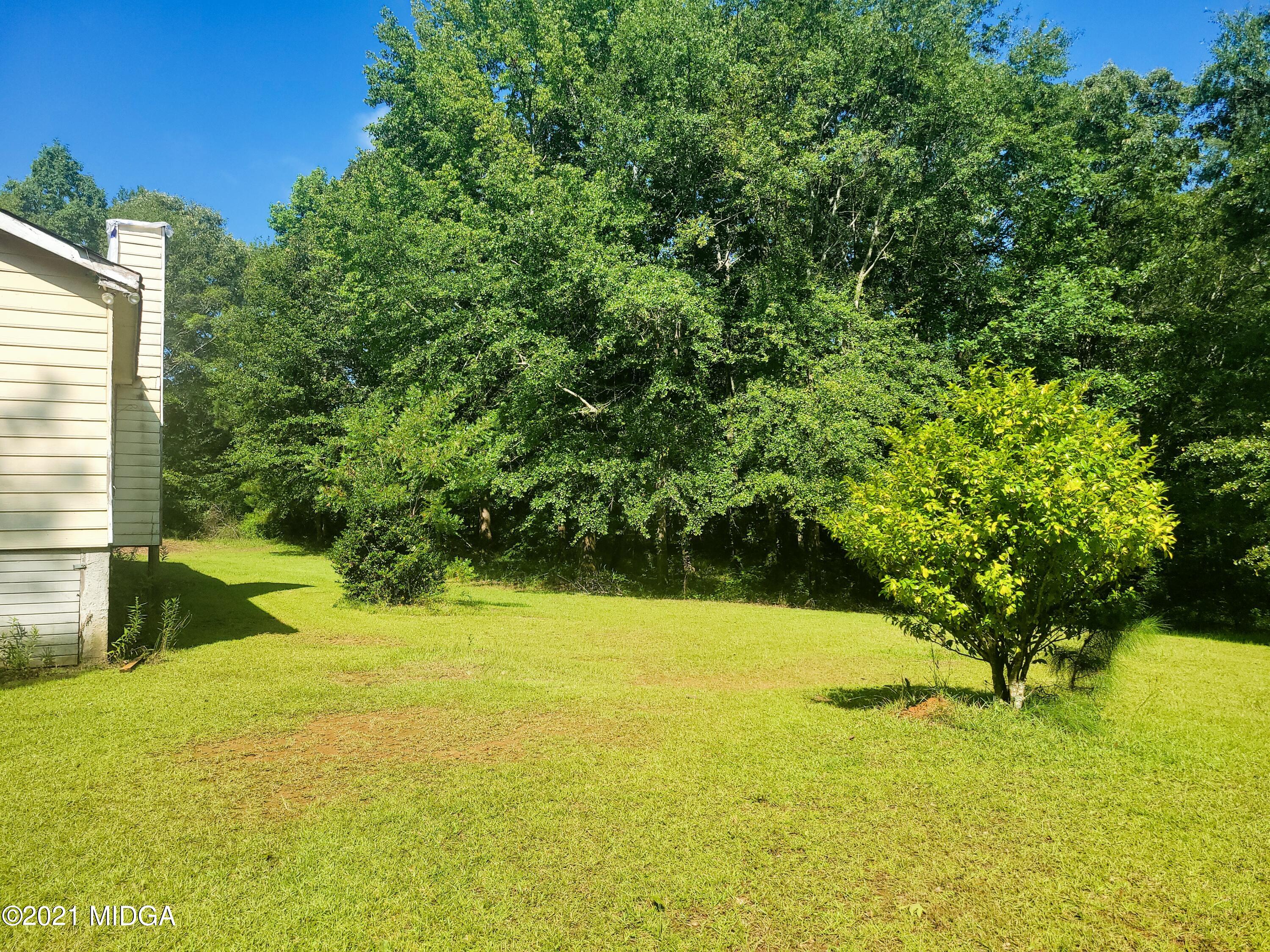 129 Reed Clark Road Dry Branch, GA 31020 - Photo 5 of 28 Reed Clark yard 1