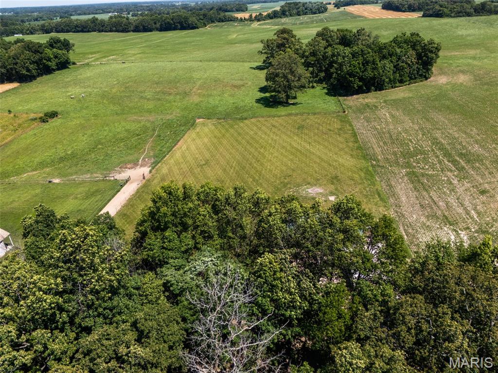 4243 Bushy Prairie Road Waterloo, IL 62298 - Photo 90 of 99