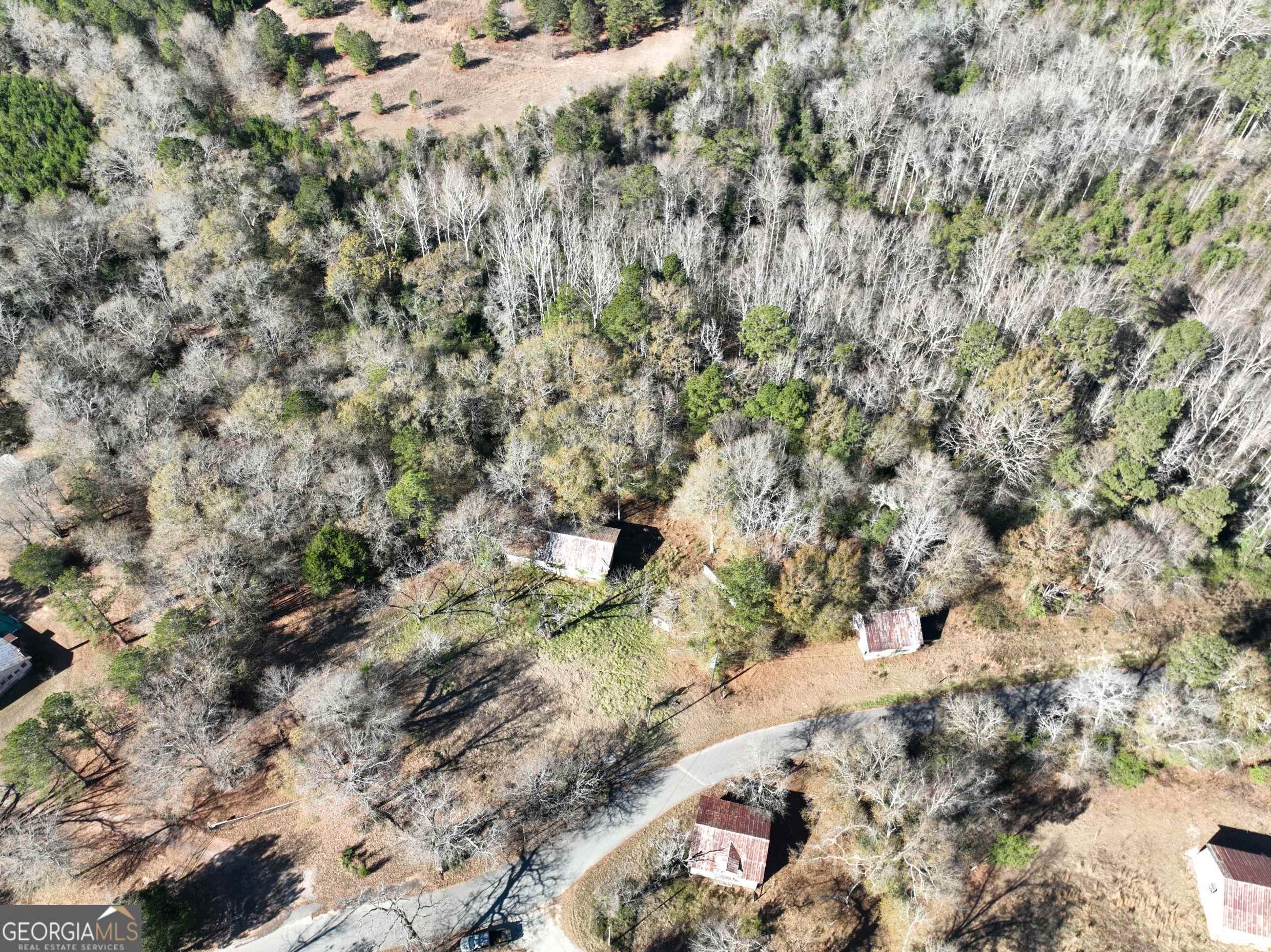 0 Jamestown Road Matthews, GA 30818 - Photo 1 of 1 a view of a forest with a tree
