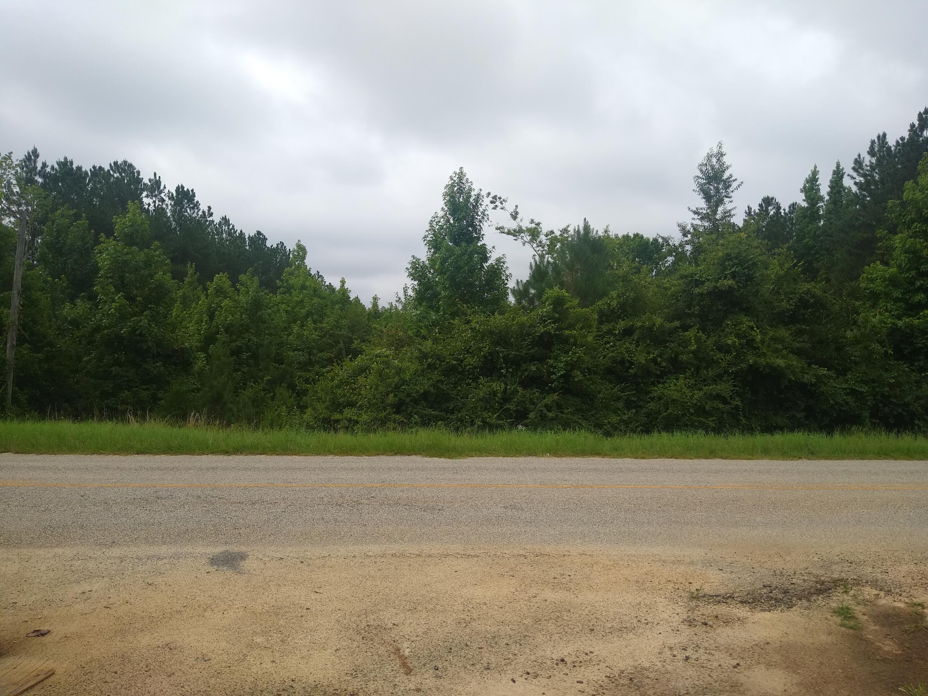 3 Mark Walden Road Blythe, GA 30805 - Photo 3 of 5