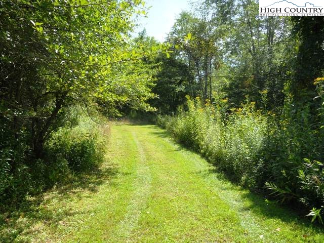 17 Ladd Parson Road Crumpler, NC 28617 - Photo 3 of 4 Gallery Image 3