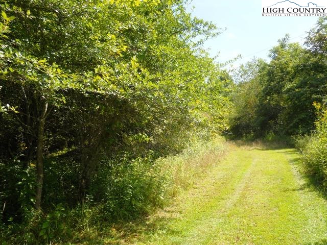 17 Ladd Parson Road Crumpler, NC 28617 - Photo 4 of 4 Gallery Image 4