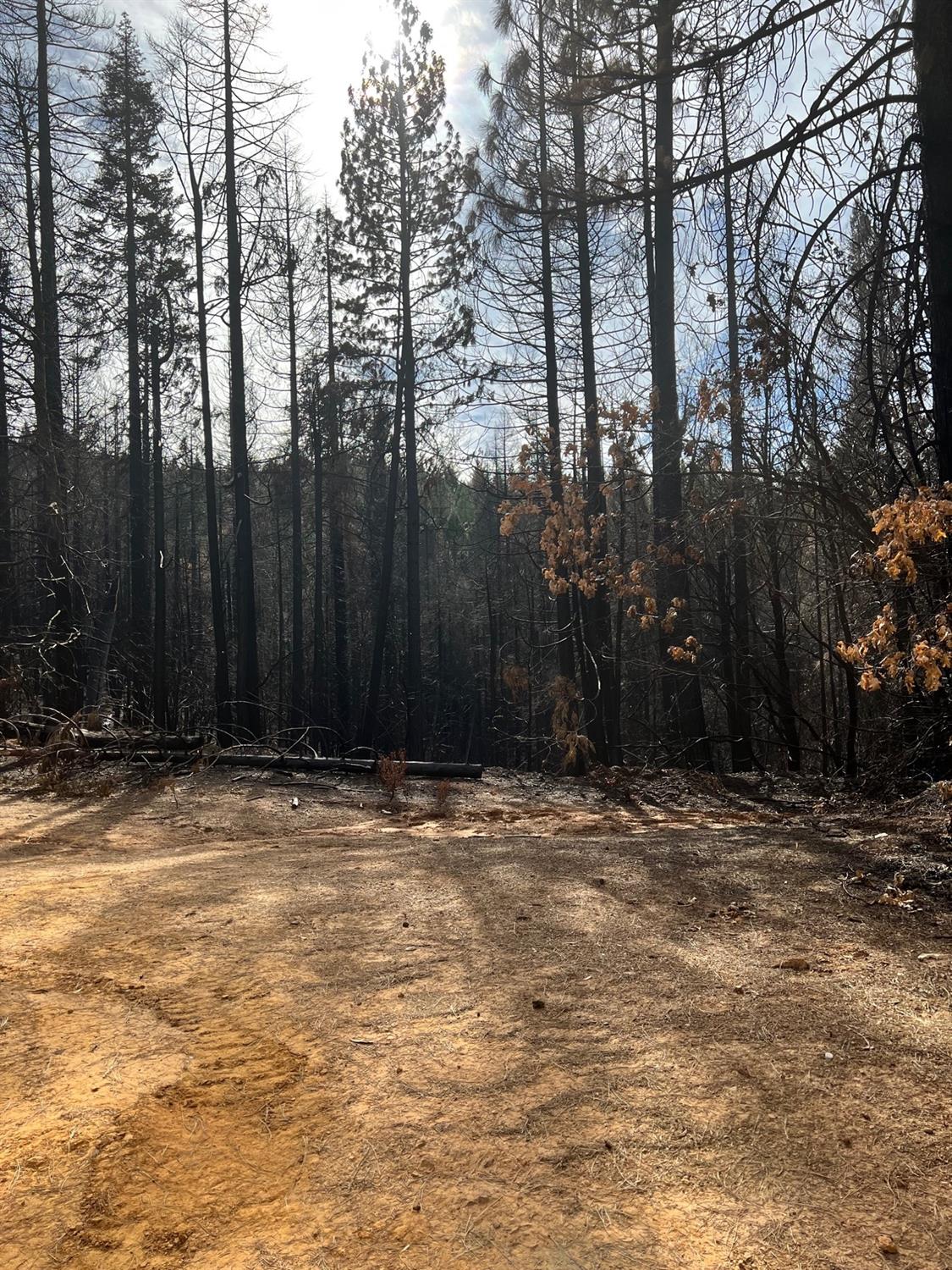 20-ac Tunnel Hill Loop Road Georgetown, CA 95634 - Photo 1 of 8 Gallery Image 1