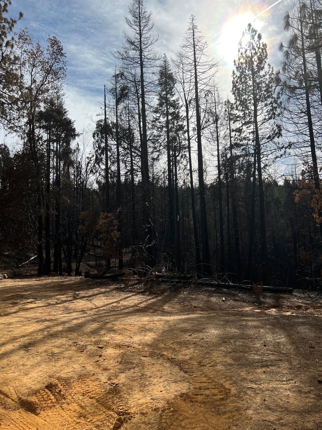 20-ac Tunnel Hill Loop Road Georgetown, CA 95634 - Photo 2 of 8 Gallery Image 2