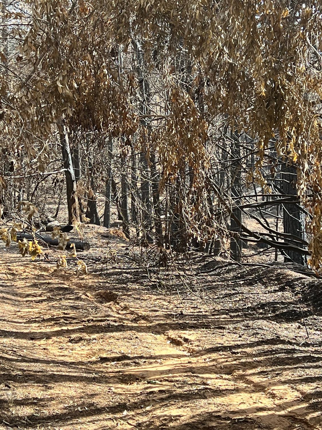 20-ac Tunnel Hill Loop Road Georgetown, CA 95634 - Photo 6 of 8 Gallery Image 6