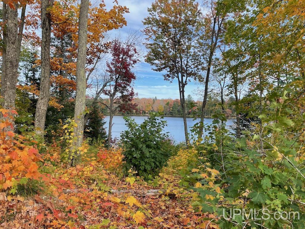 47-13 Carpenter Lake Road Seney, MI 49883 - Photo 4 of 18