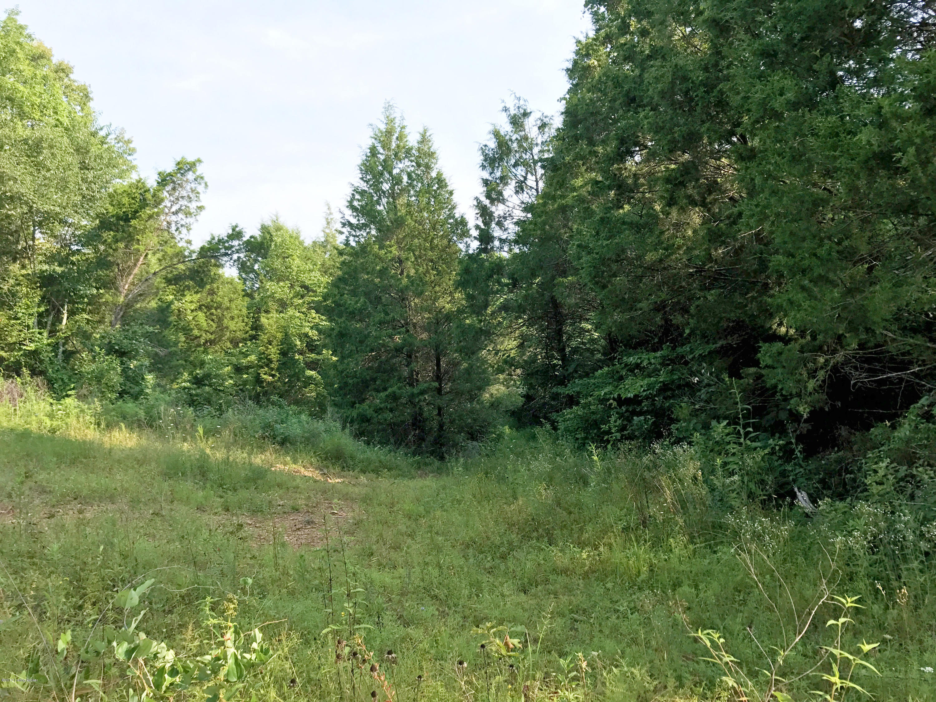 4 870 Branch Road Leitchfield, KY 42754 - Photo 15 of 15 4n