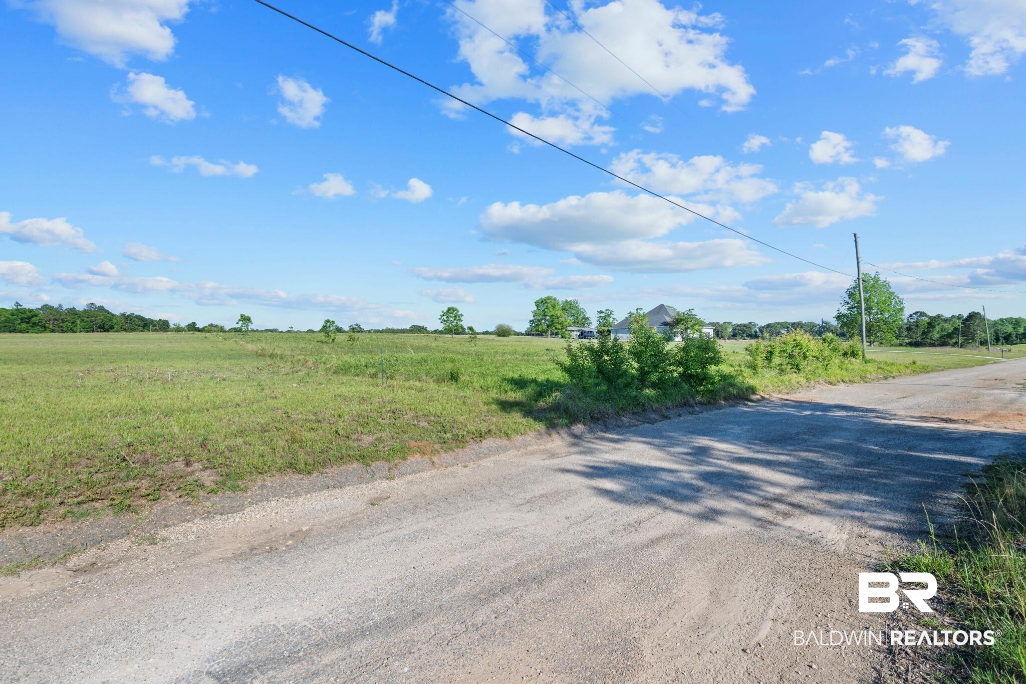 0 Lanier Lane Chunchula, AL 36521 - Photo 11 of 12