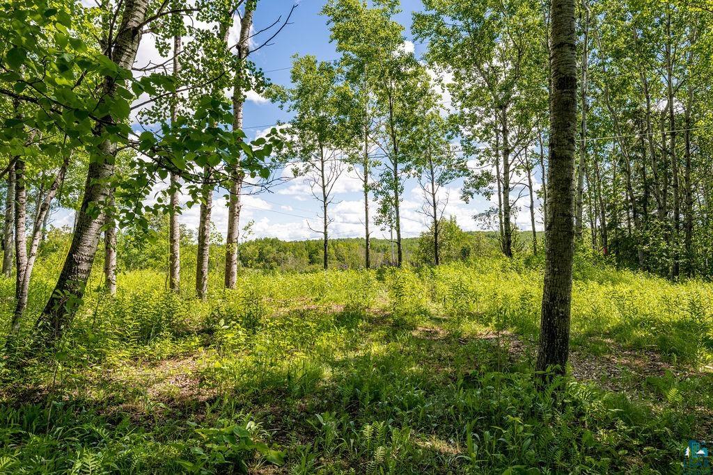 50-xx Benson Road Hermantown, MN 55810 - Photo 2 of 2 Property has been partially cleared and a septic site visit was made by a septic designer & septic contractor.