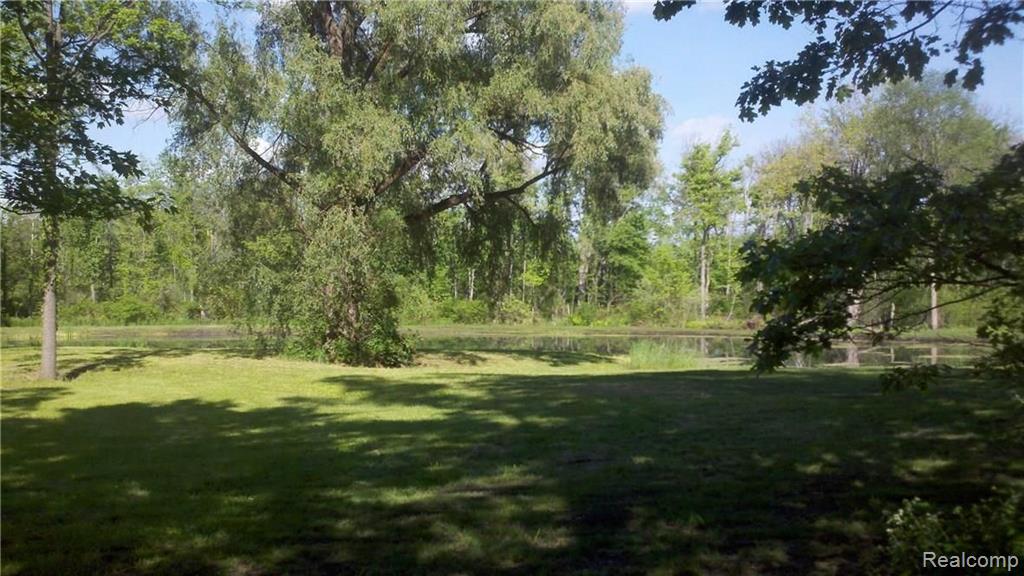 V/l V/l Doyle Road Pinckney, MI 48169 - Photo 1 of 24