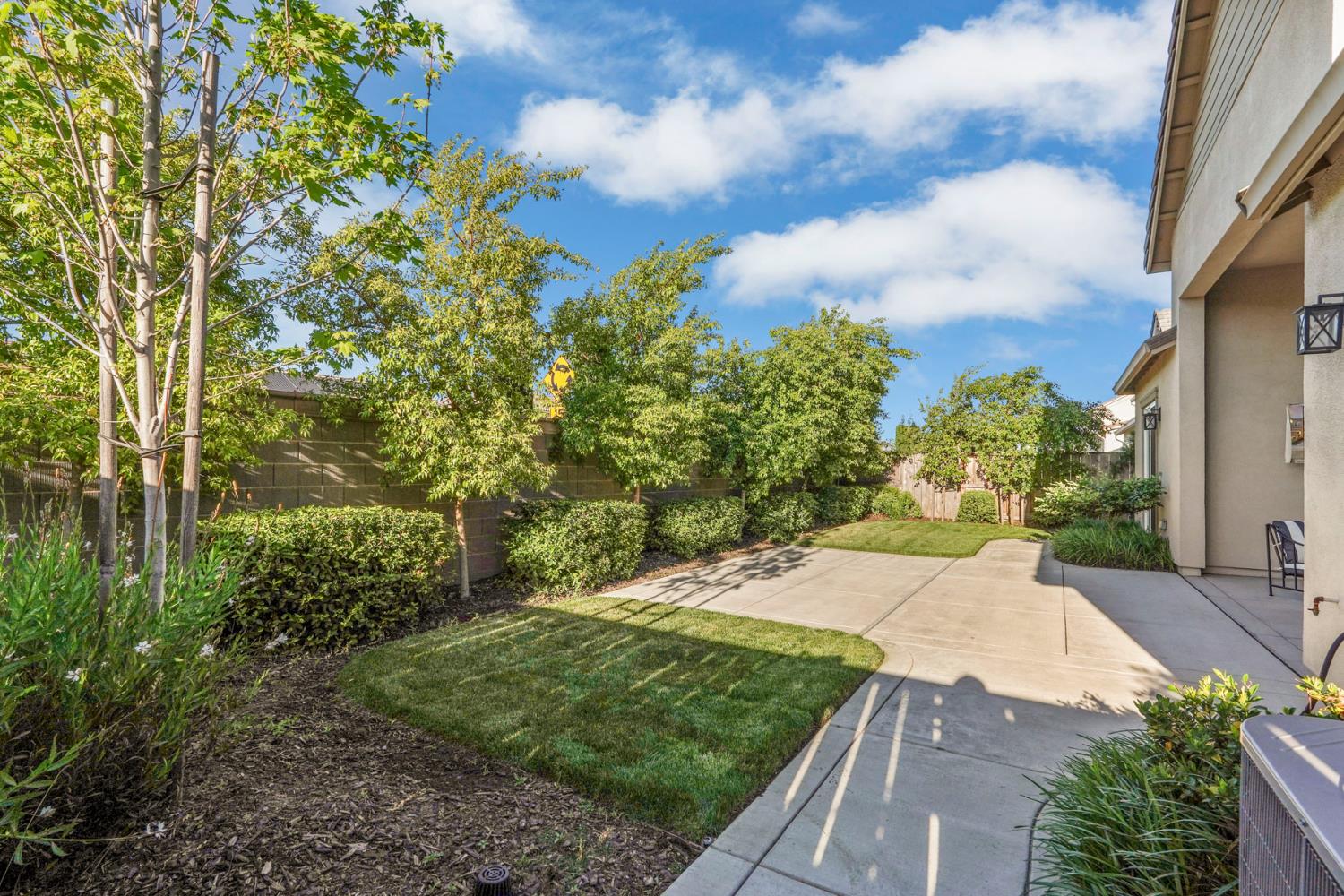 2931 Concerto Court Lodi, CA 95242 - Photo 47 of 54 a view of a yard with plants and a large tree