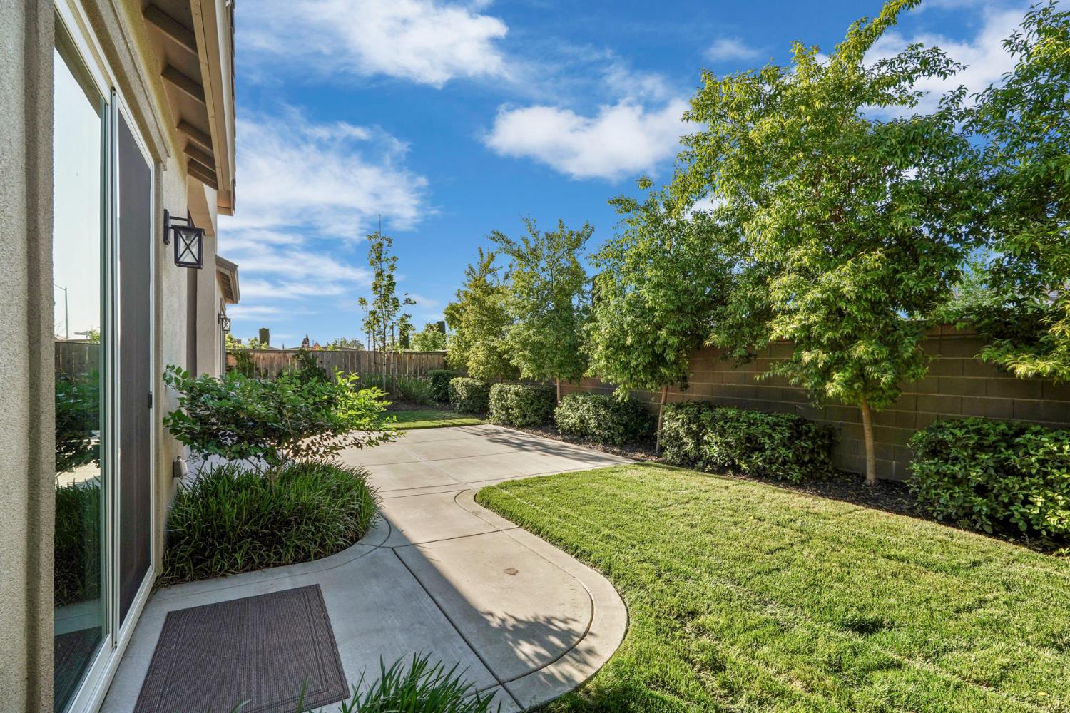 2931 Concerto Court Lodi, CA 95242 - Photo 48 of 54 a view of yard