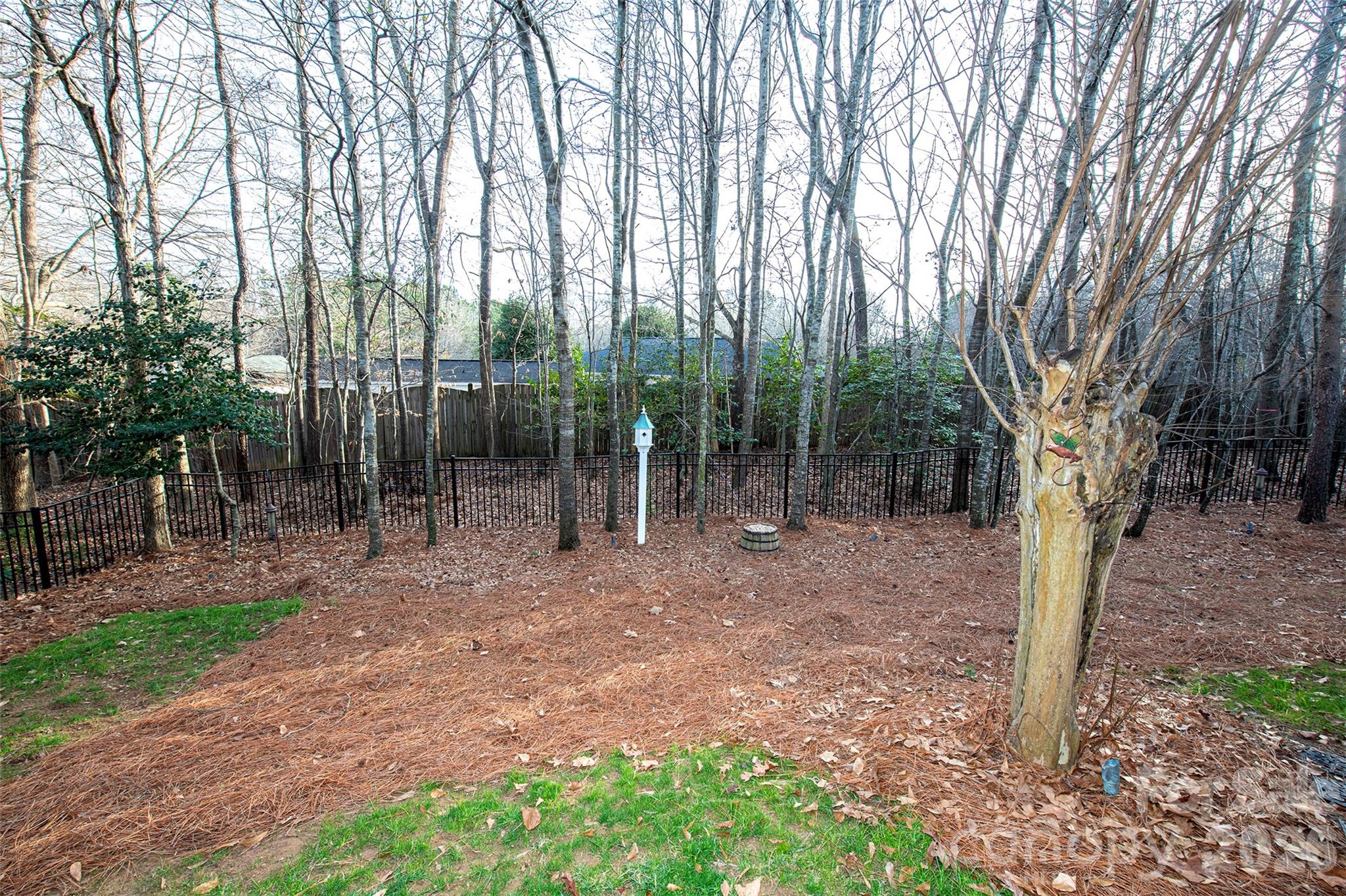 18432 East Marbella Lane Fort Mill, SC 29707 - Photo 42 of 47 a view of outdoor space and tree