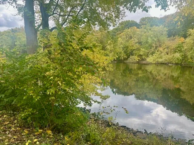 $135,000 | 8 Marmont Street, Niles, MI 49120