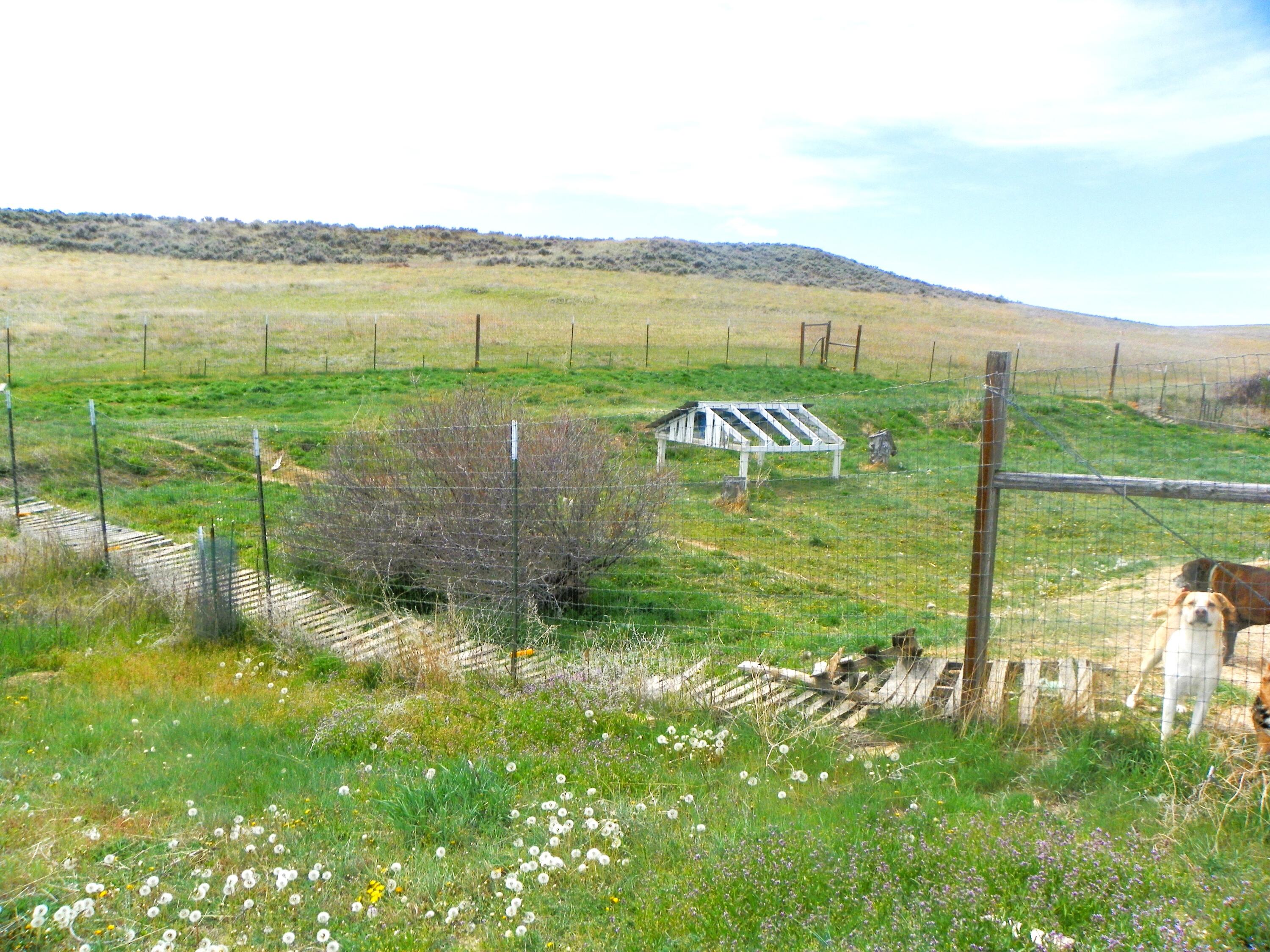 524 Beatty Gulch Road Sheridan, WY 82801 - Photo 29 of 47 100_2425