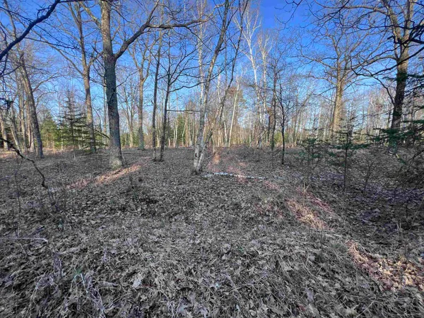 $37,500 | Nejedlo Road, Unit 4, Wausaukee, WI 54177