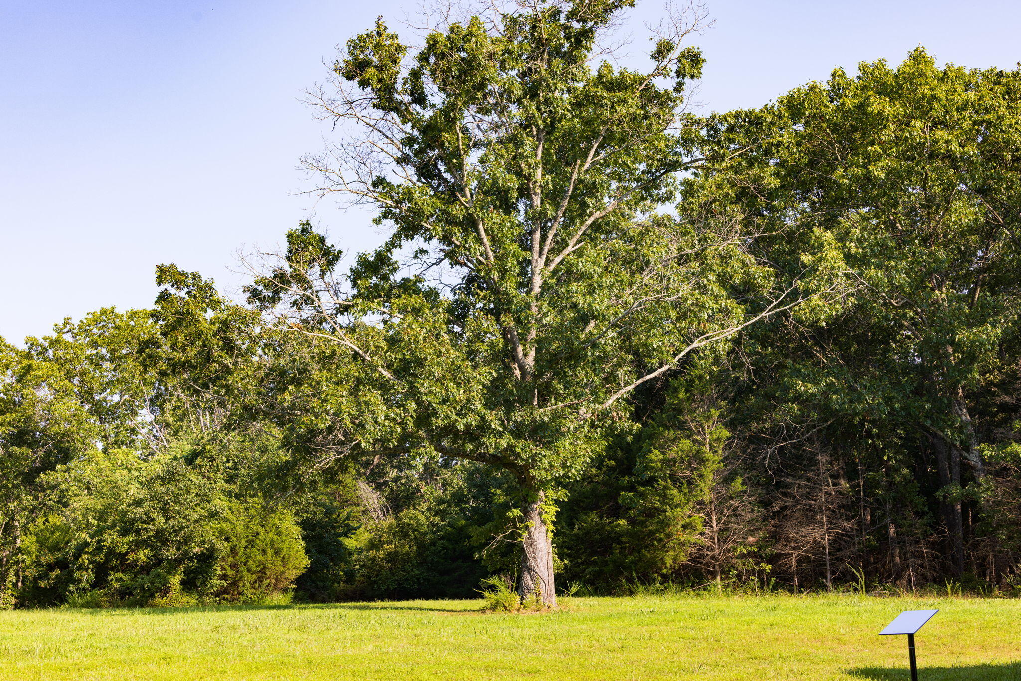 1350 County Road, Unit 317 Ava, MO 65608 - Photo 72 of 83 81-web-or-mls-A-81