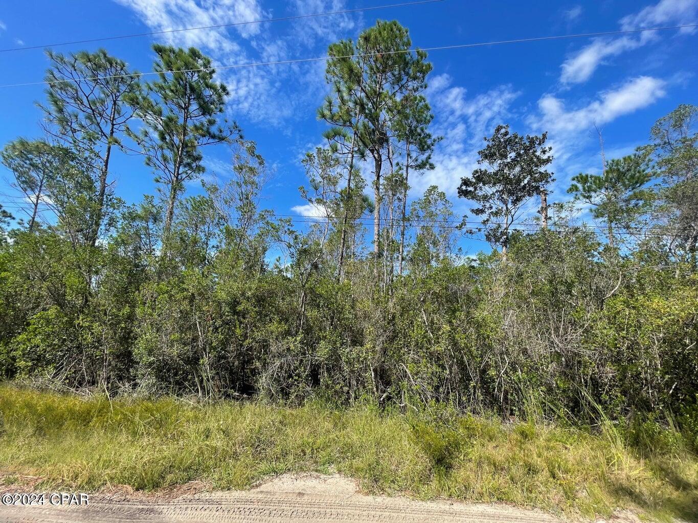 0 Plum Nearly Road Fountain, FL 32438 - Photo 4 of 7