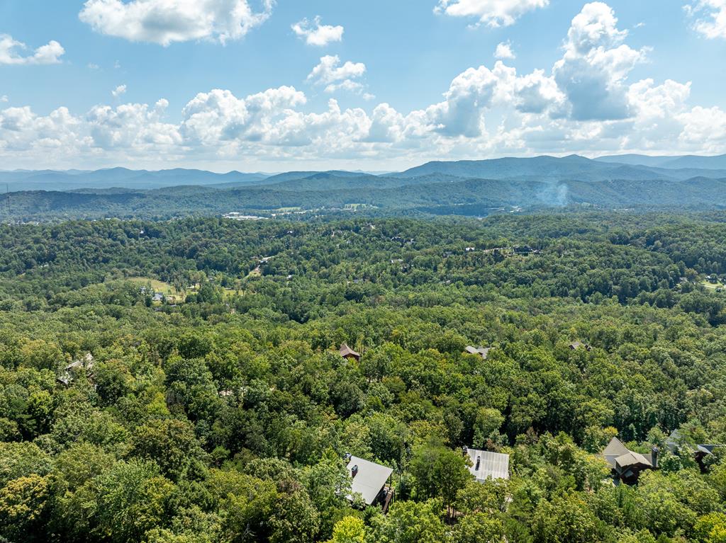 220 Firefly Road Blue Ridge, GA 30513 - Photo 20 of 74 Gallery Image 20