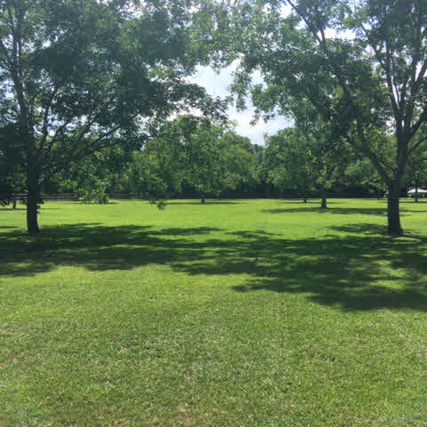 22681 River Road South Daphne, AL 36526 - Photo 16 of 45