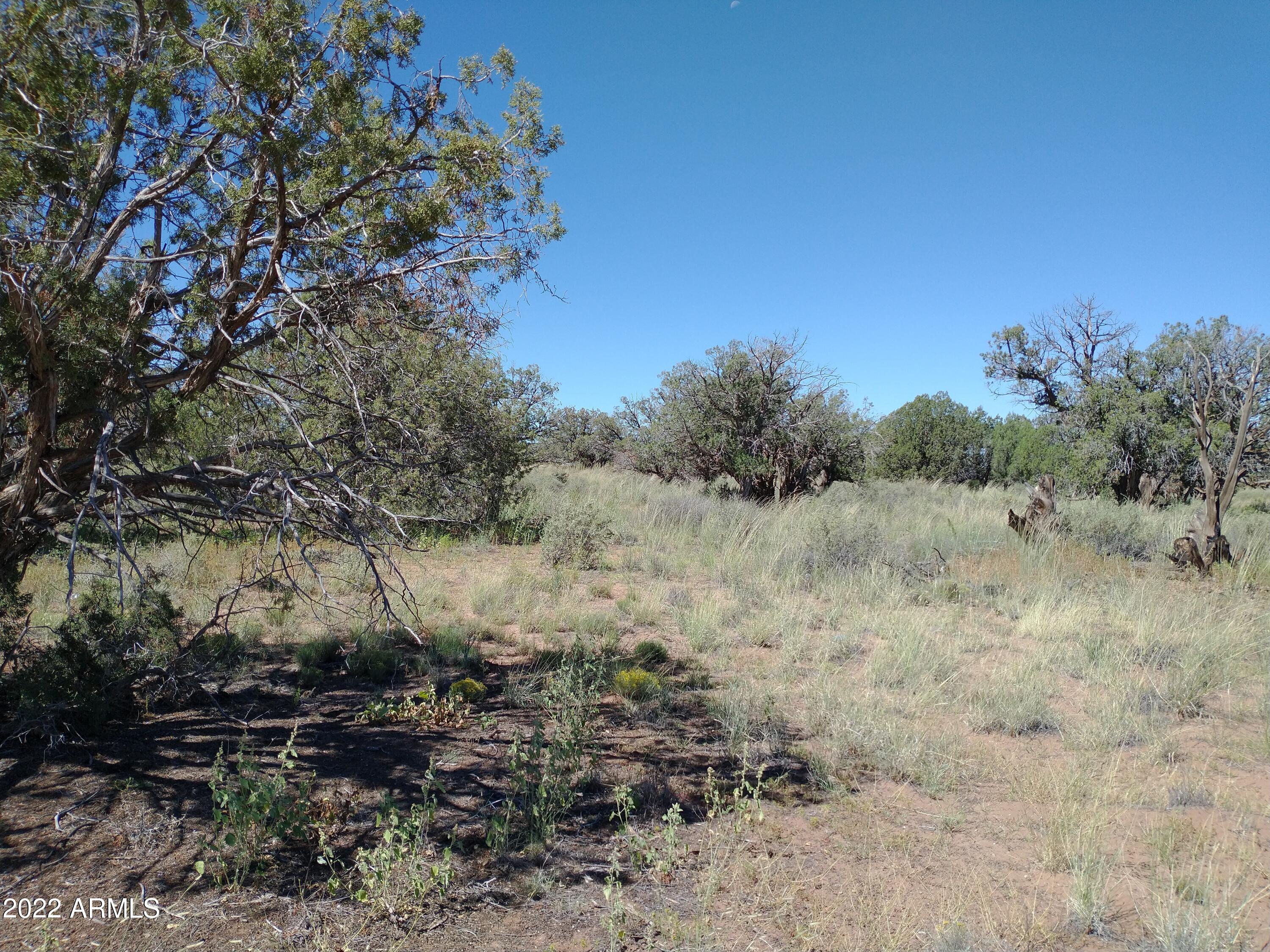 4318 East Pinto Road, Unit 50 Snowflake, AZ 85937 - Photo 1 of 11 IMG_20220917_110952163