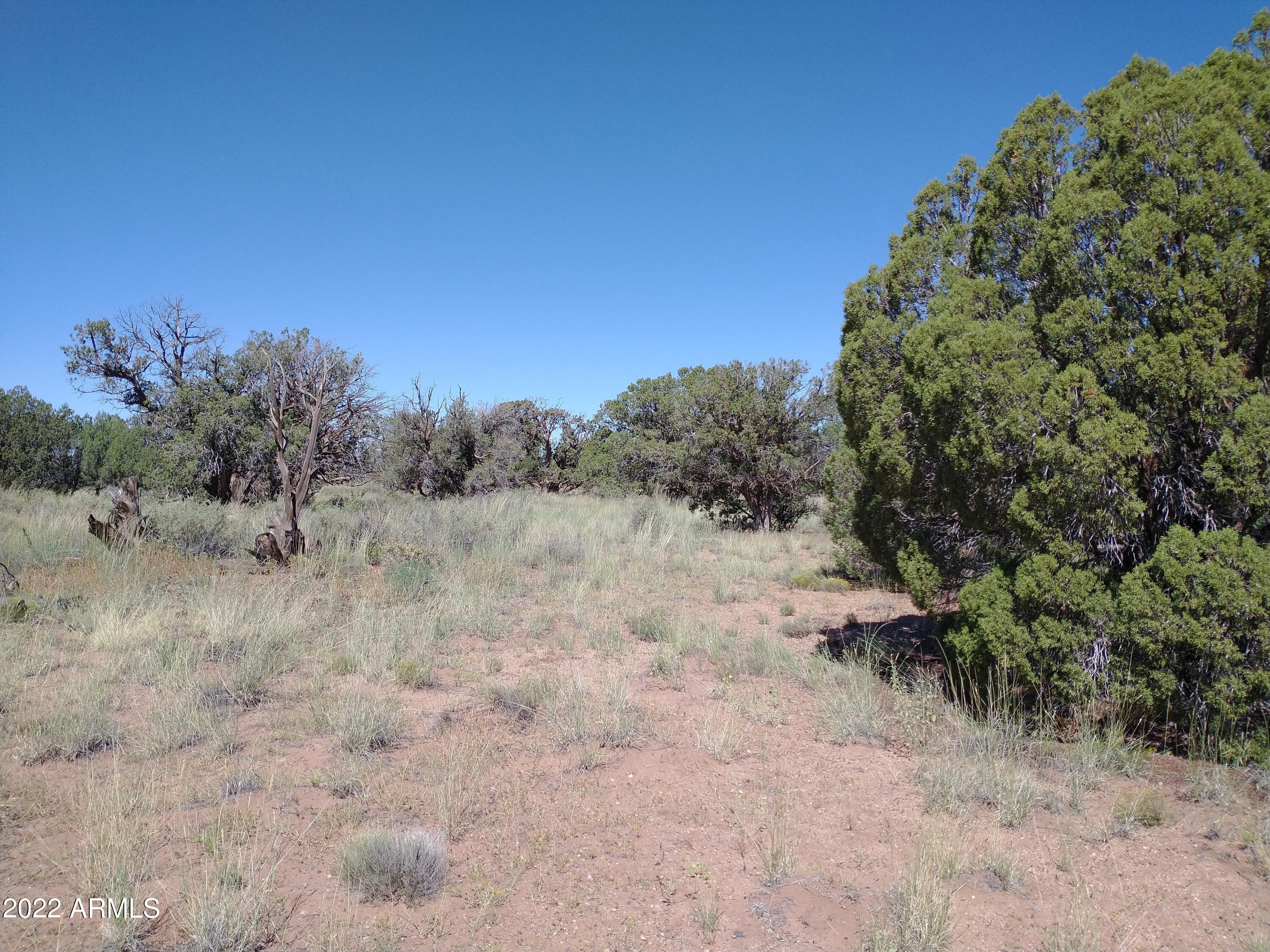 4318 East Pinto Road, Unit 50 Snowflake, AZ 85937 - Photo 2 of 11 IMG_20220917_110955130