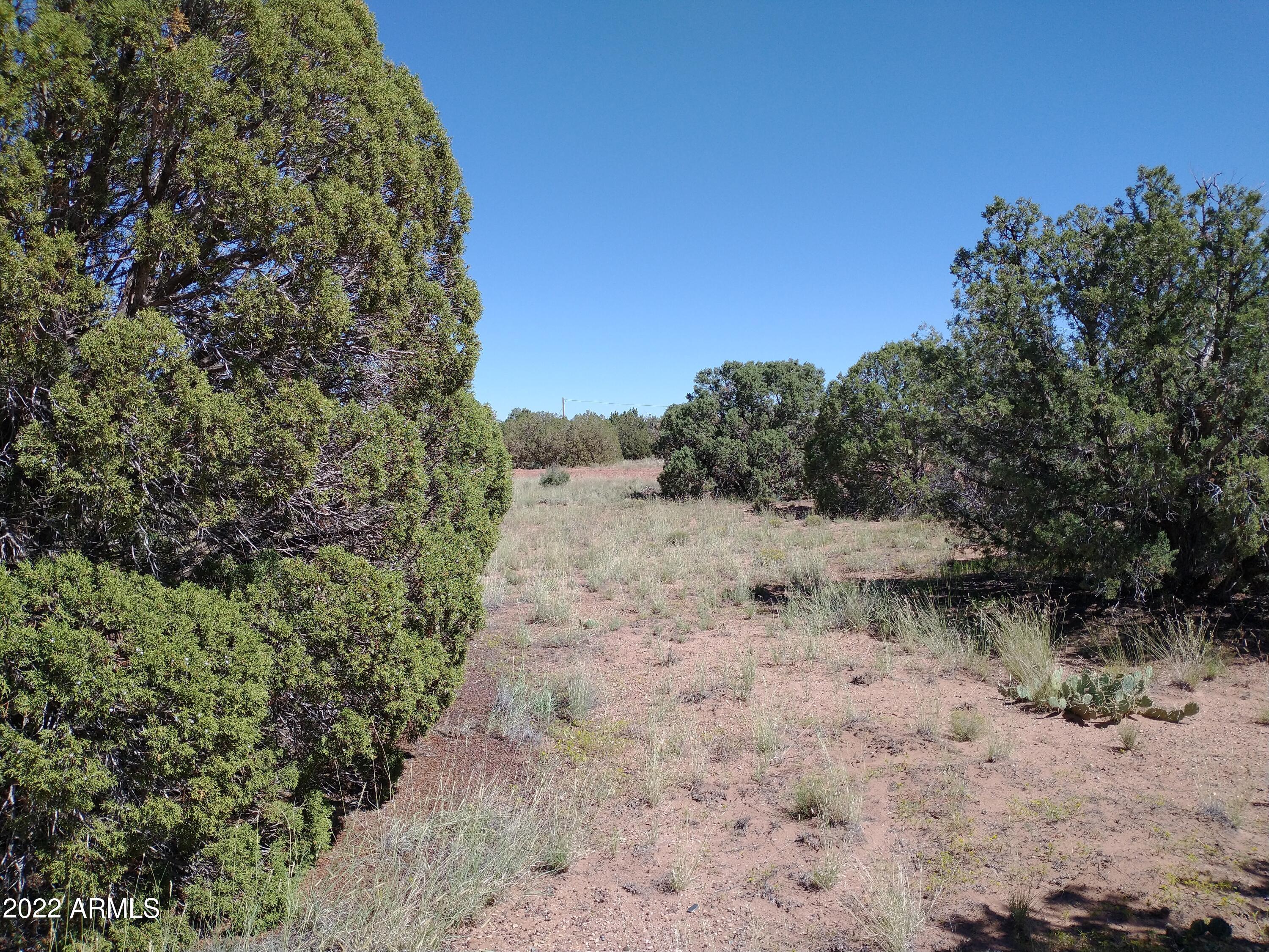 4318 East Pinto Road, Unit 50 Snowflake, AZ 85937 - Photo 3 of 11 IMG_20220917_111001363