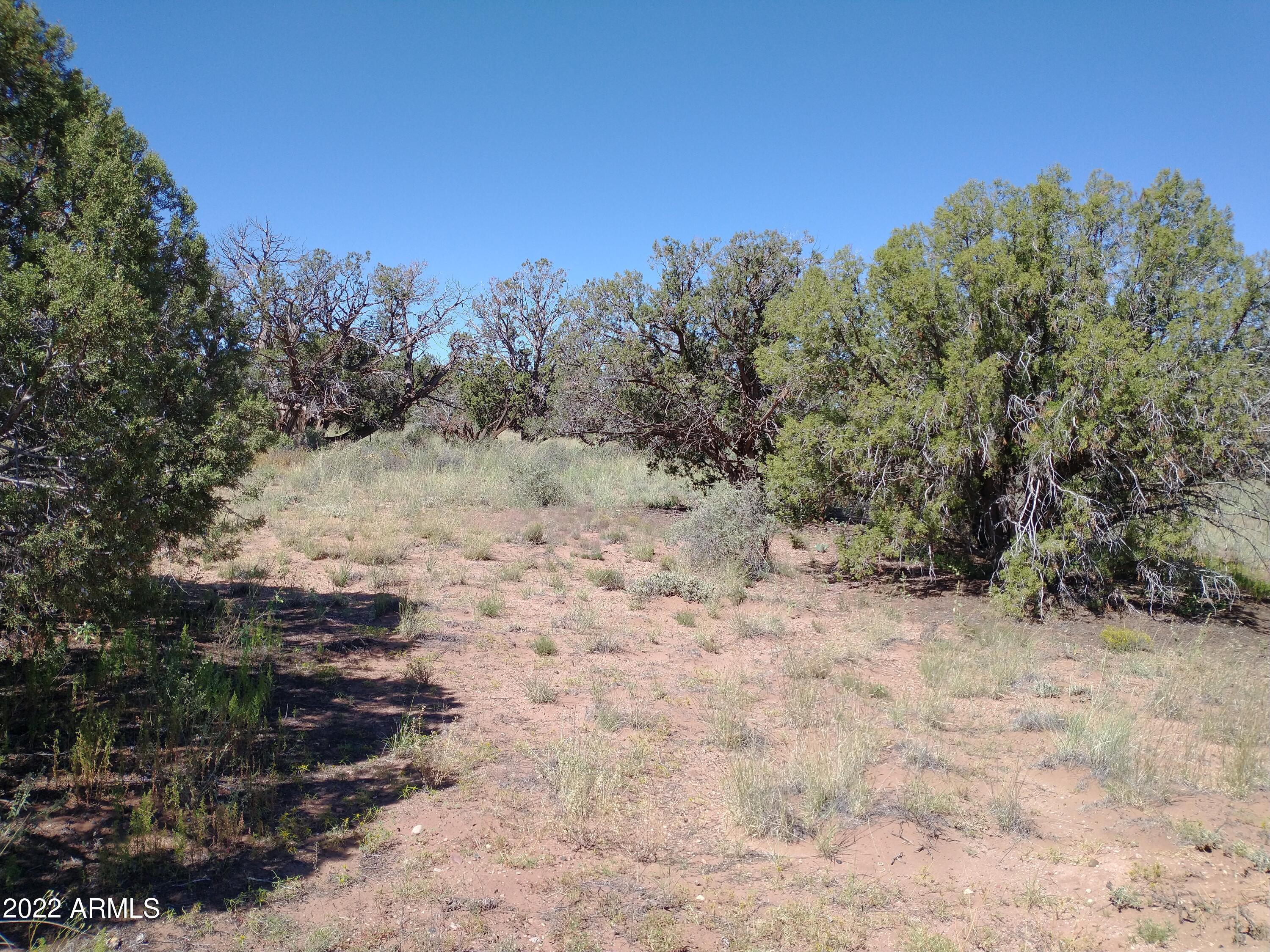 4318 East Pinto Road, Unit 50 Snowflake, AZ 85937 - Photo 4 of 11 IMG_20220917_111104528