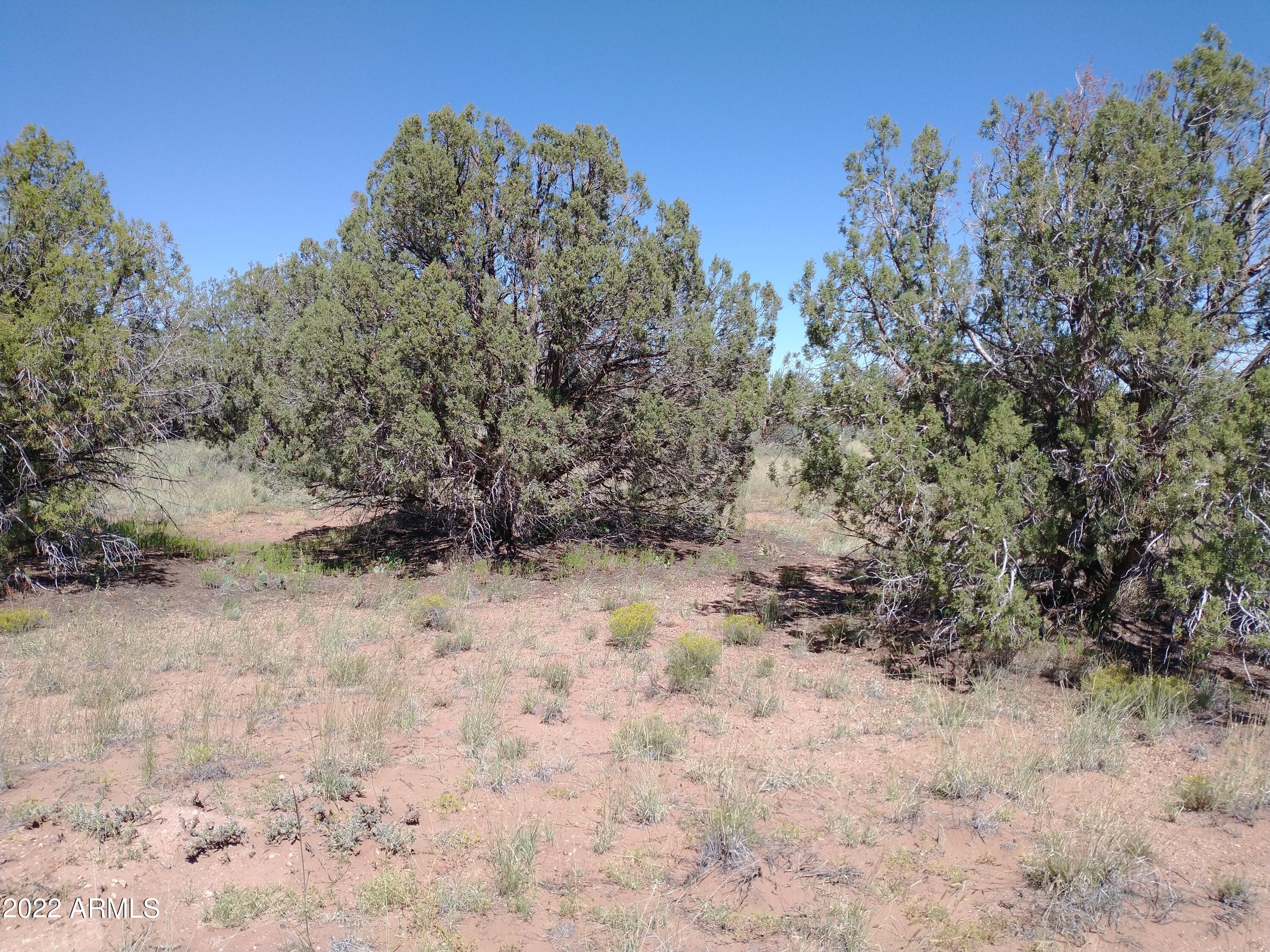 4318 East Pinto Road, Unit 50 Snowflake, AZ 85937 - Photo 5 of 11 IMG_20220917_111106992