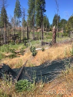 6321 Old Emigrant Trail, Unit 123 Mountain Ranch, CA 95246 - Photo 7 of 7 a view of a yard with large trees