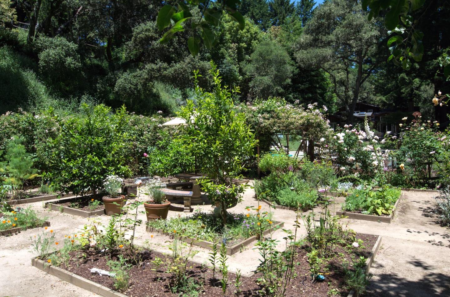 135 Summit Road Woodside, CA 94062 - Photo 23 of 27 a view of yard with green space