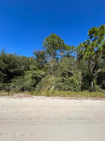 a view of a yard with a house