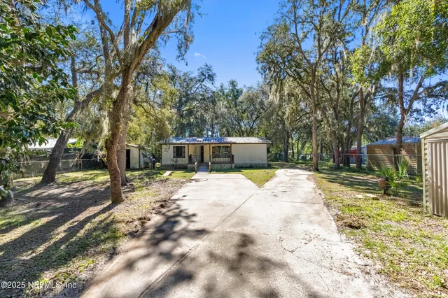 a view of a yard with plants and trees