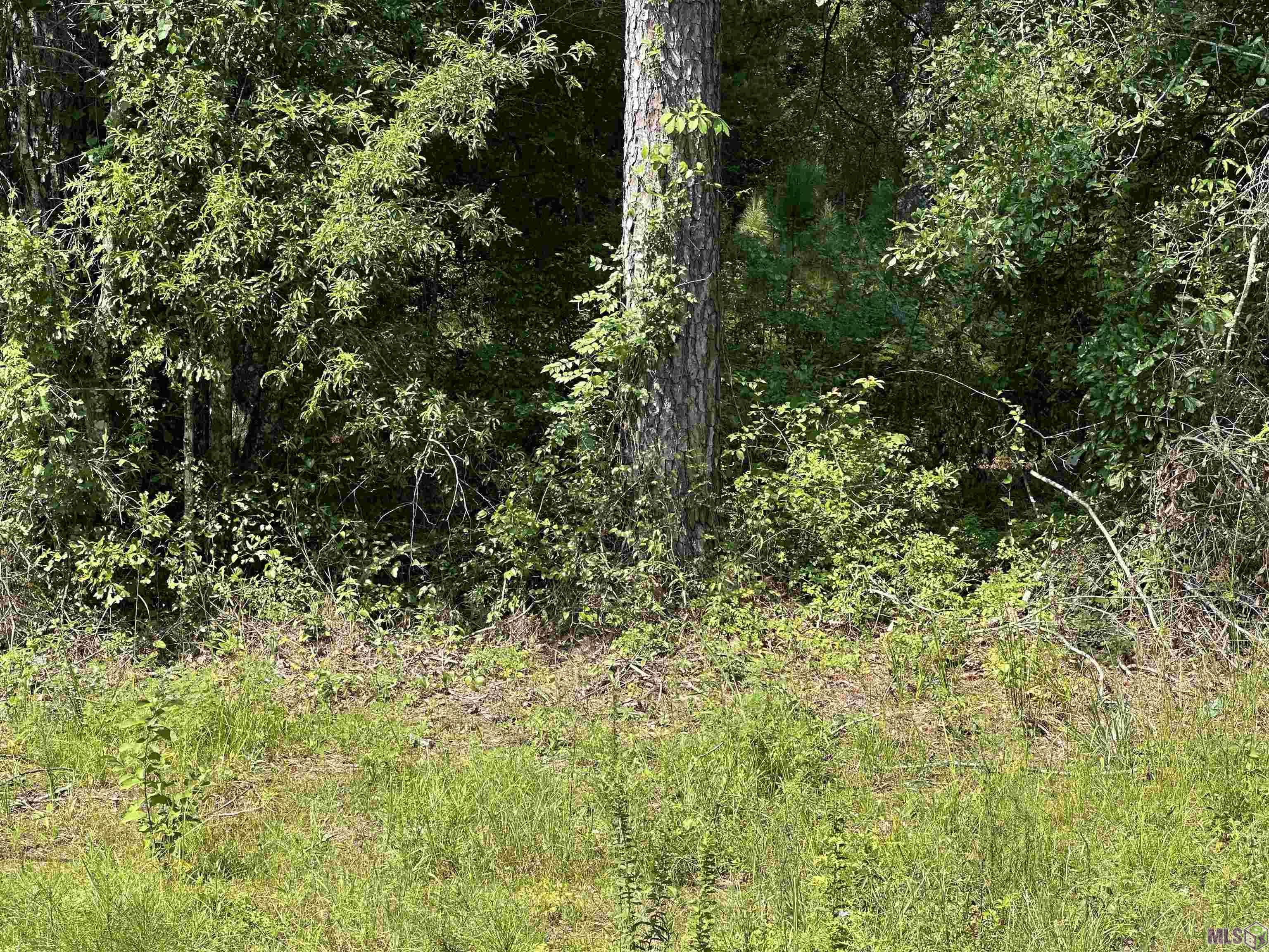 1036 Highway 1036 Holden, LA 70744 - Photo 13 of 39 Gallery Image 13