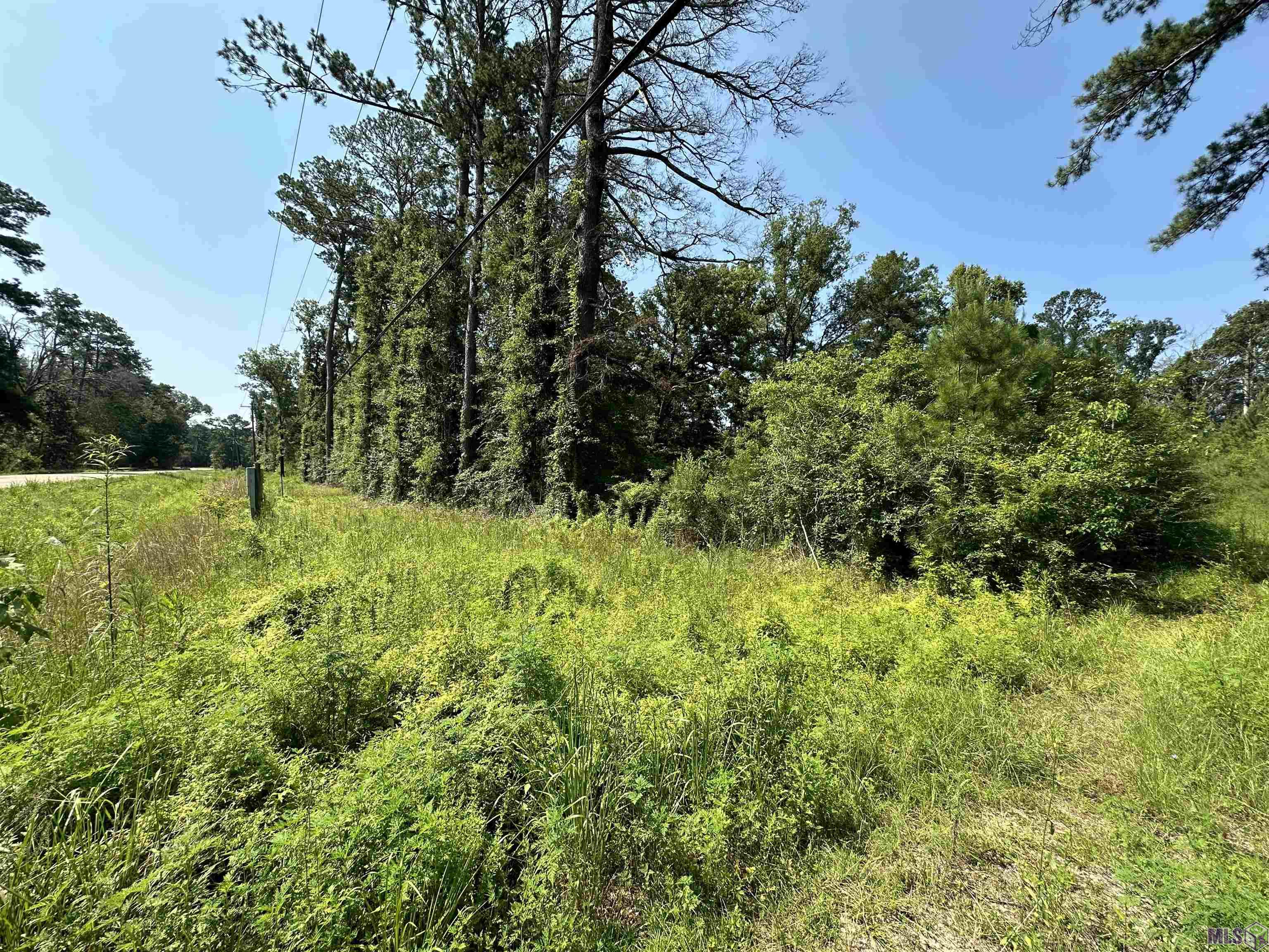 1036 Highway 1036 Holden, LA 70744 - Photo 14 of 39 Gallery Image 14