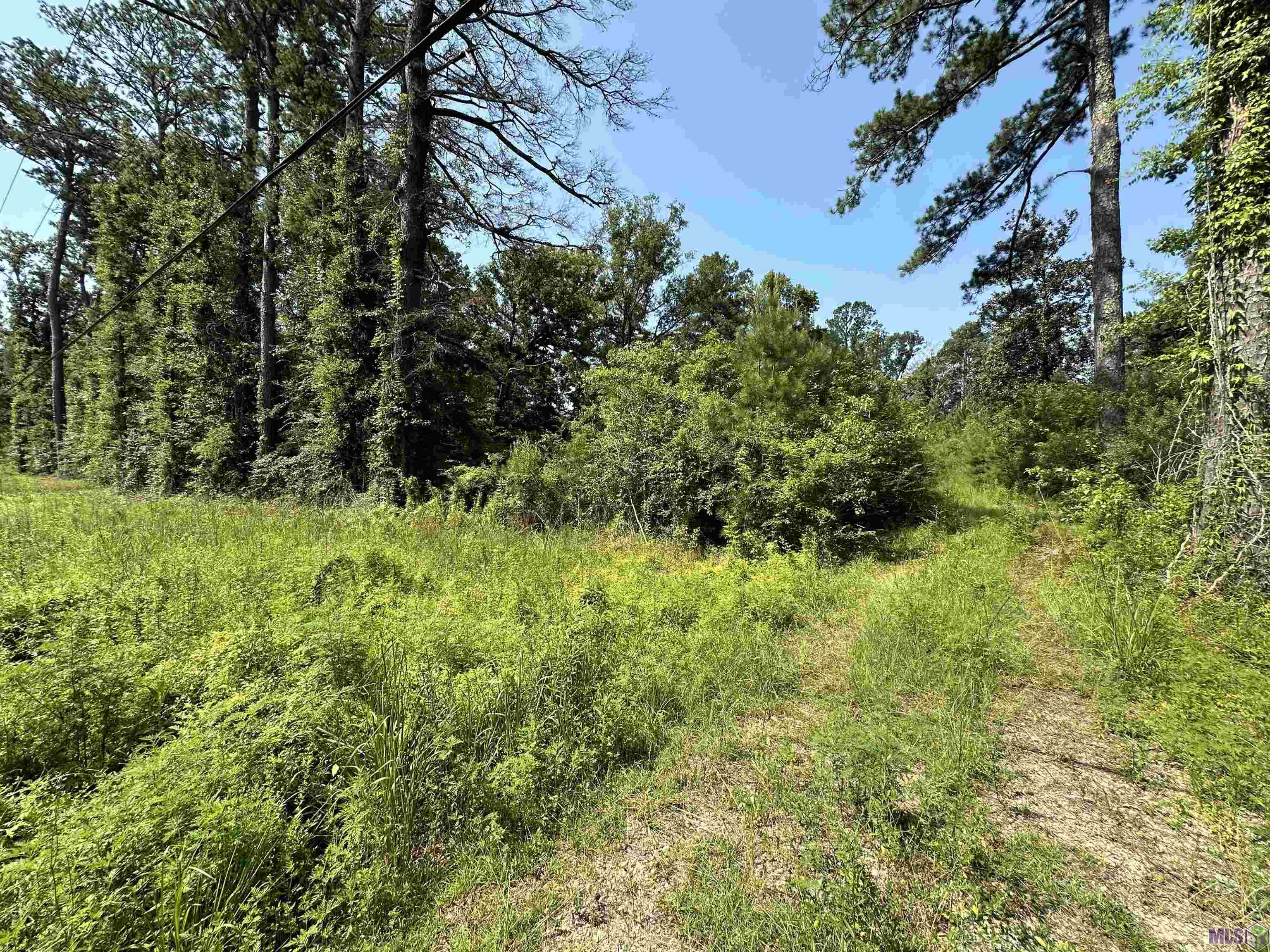 1036 Highway 1036 Holden, LA 70744 - Photo 15 of 39 Gallery Image 15