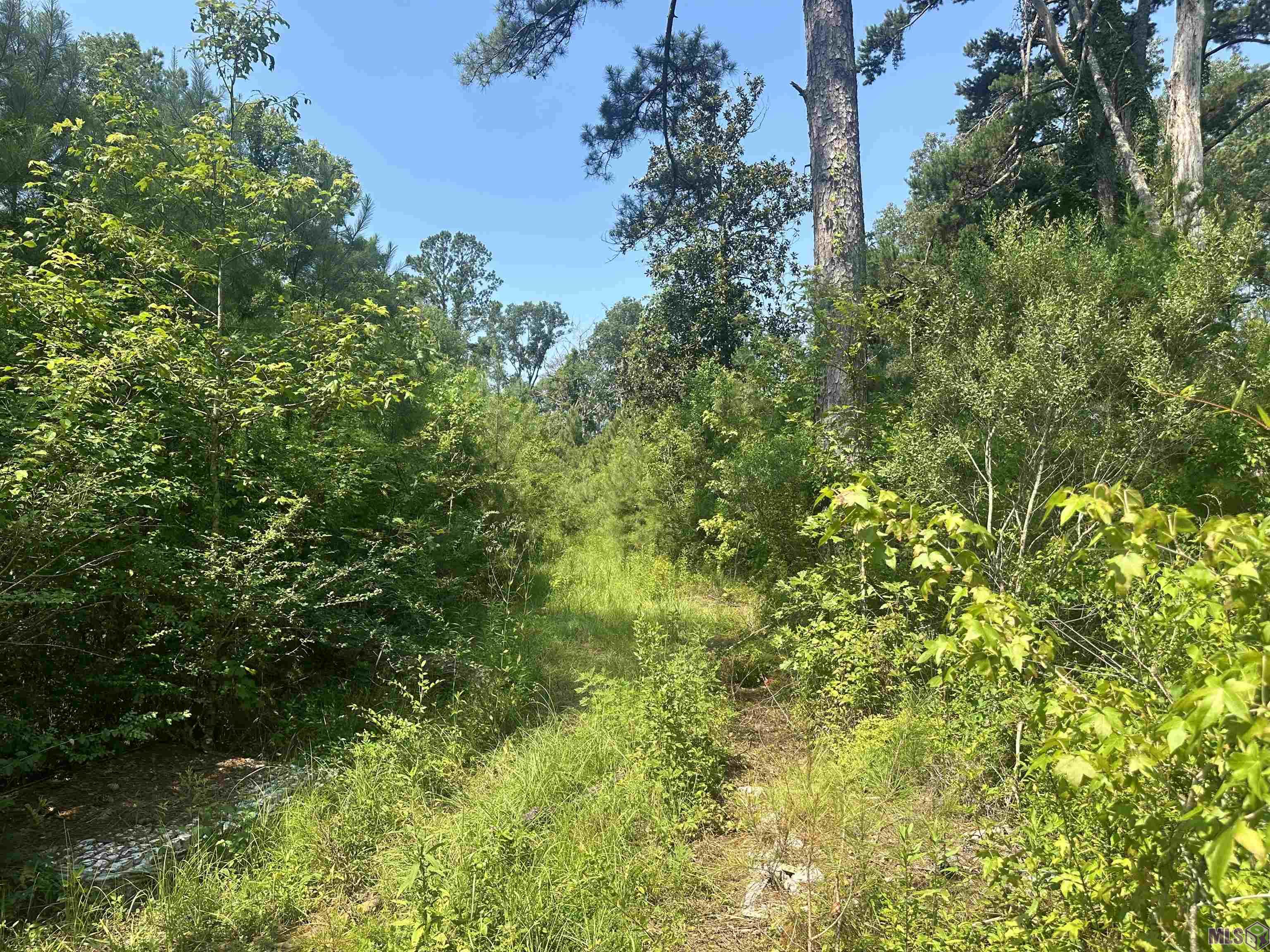 1036 Highway 1036 Holden, LA 70744 - Photo 16 of 39 Gallery Image 16
